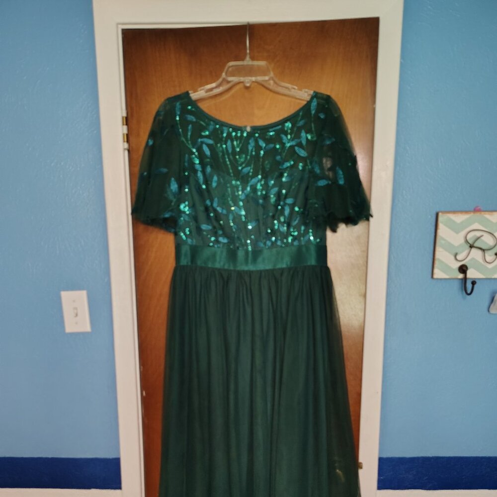 Elegant A-Line Embroidery Tulle Sequins Gown - Christmas, New Years, Prom - XXL